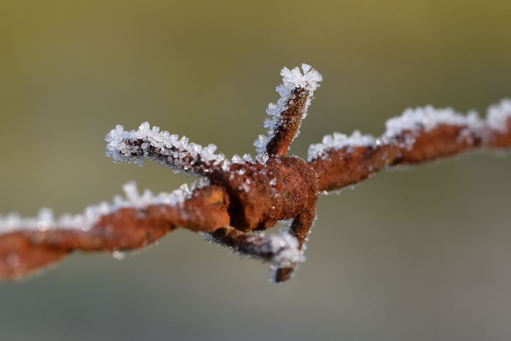 Eiszeit