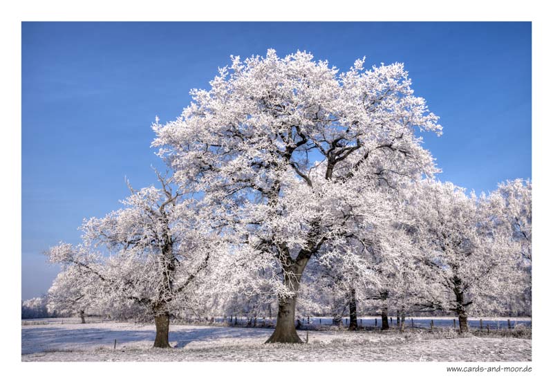 ~ Eiszeit ~