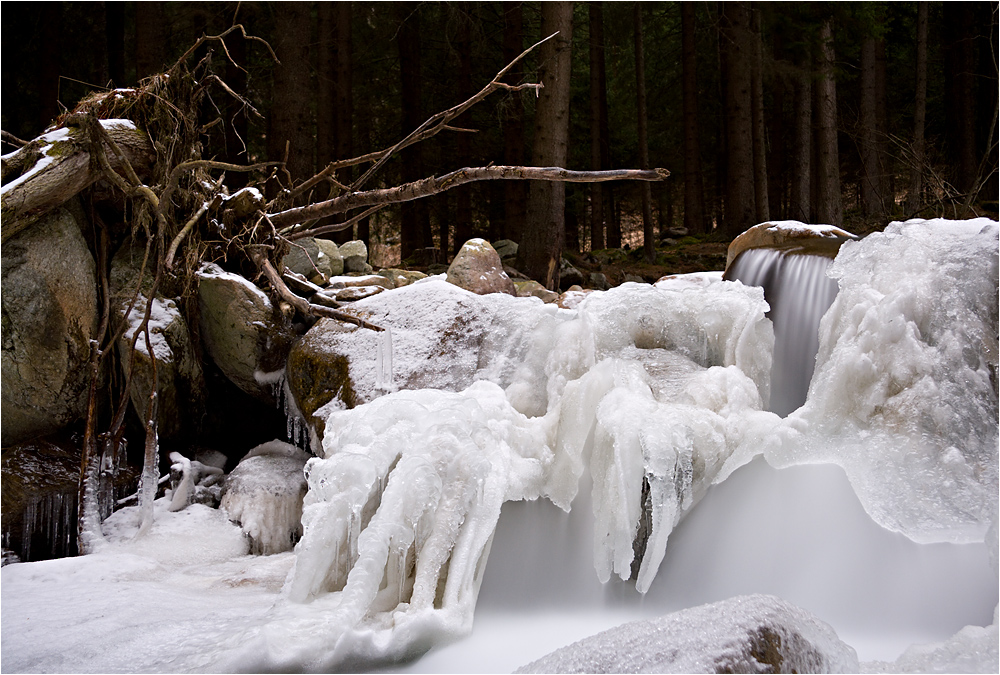 Eiszeit von Michael Utech