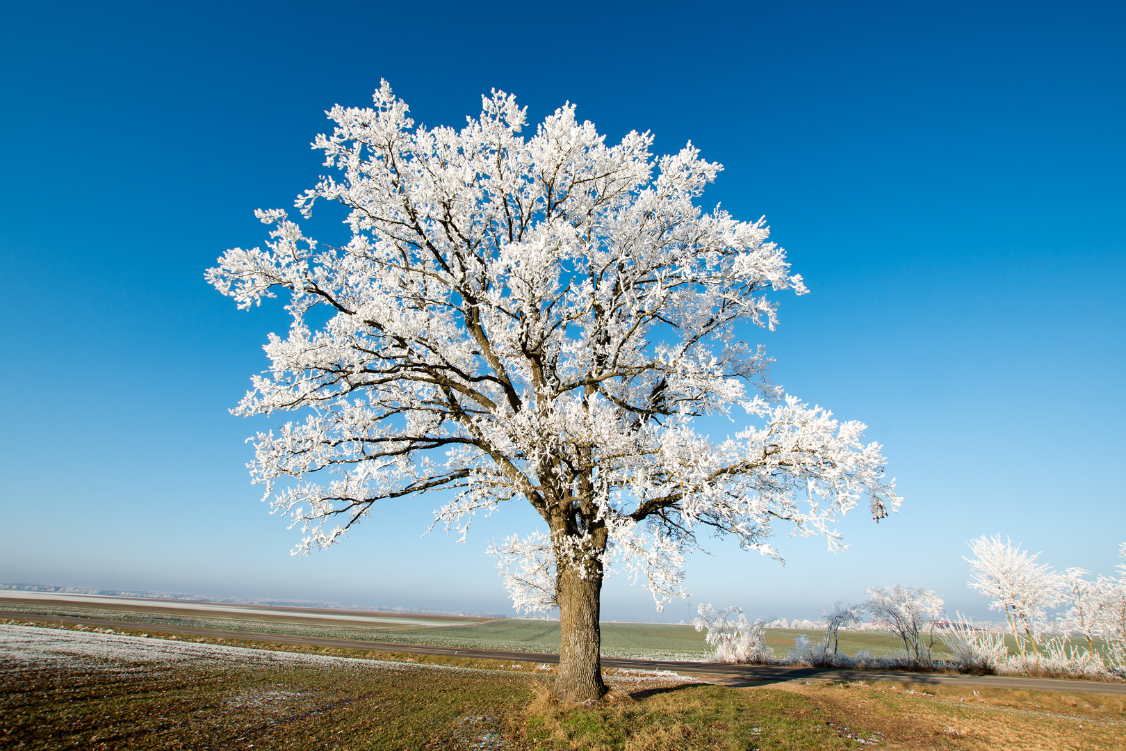 Eiszeit