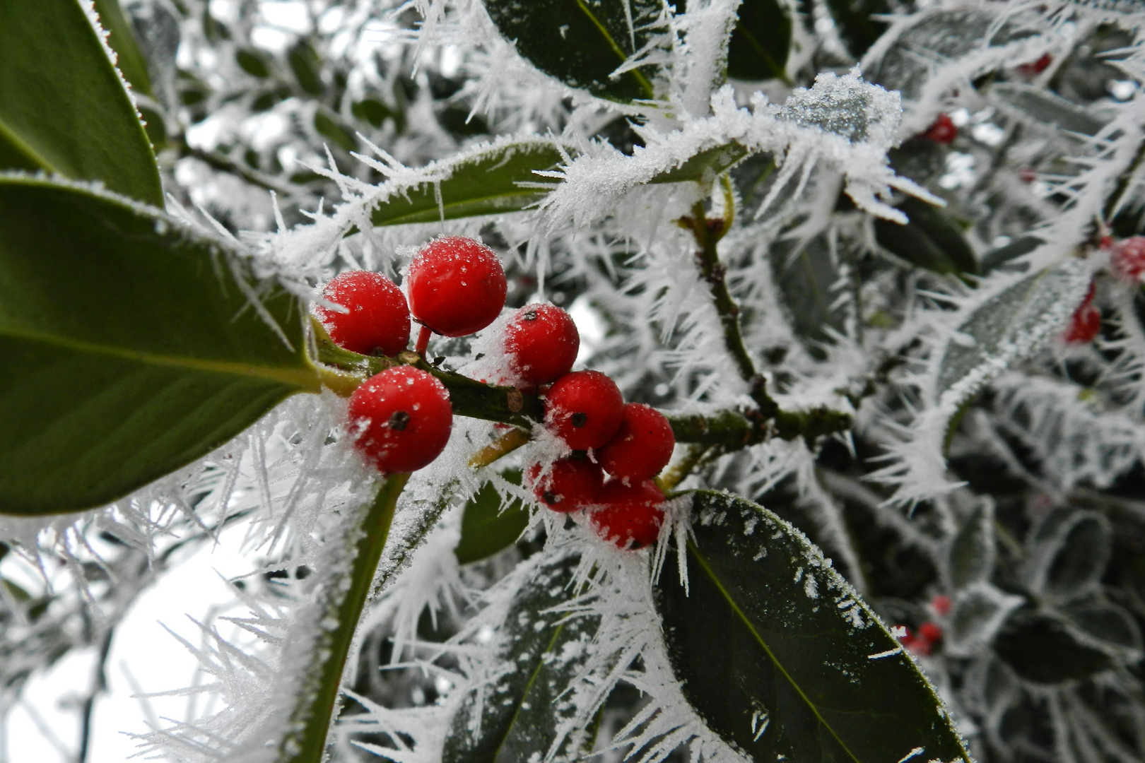 Eiszeit