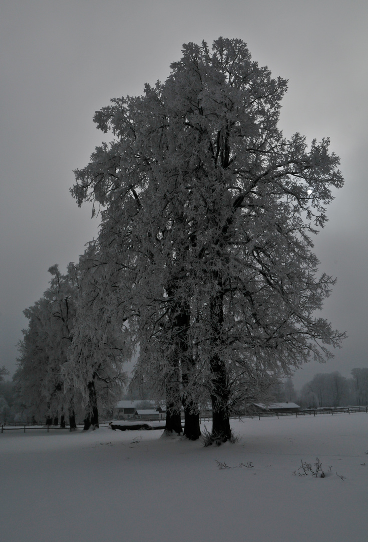 Eiszeit