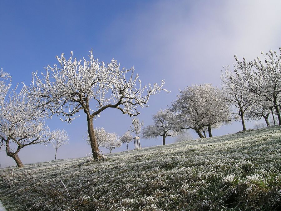 Eiszeit (2)