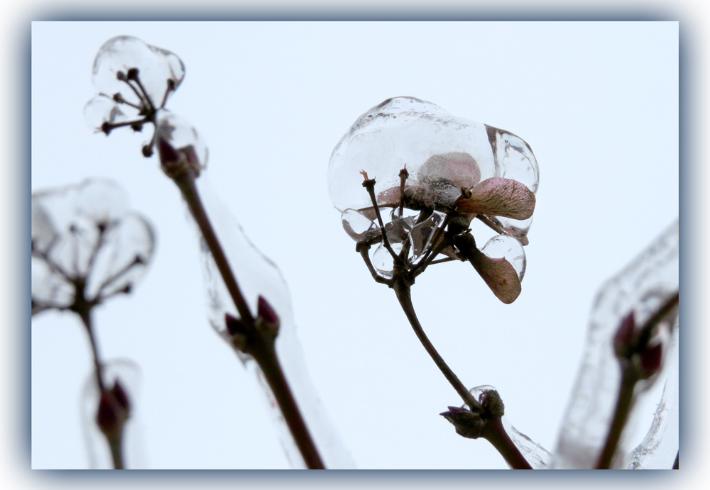 Eiszeit #2