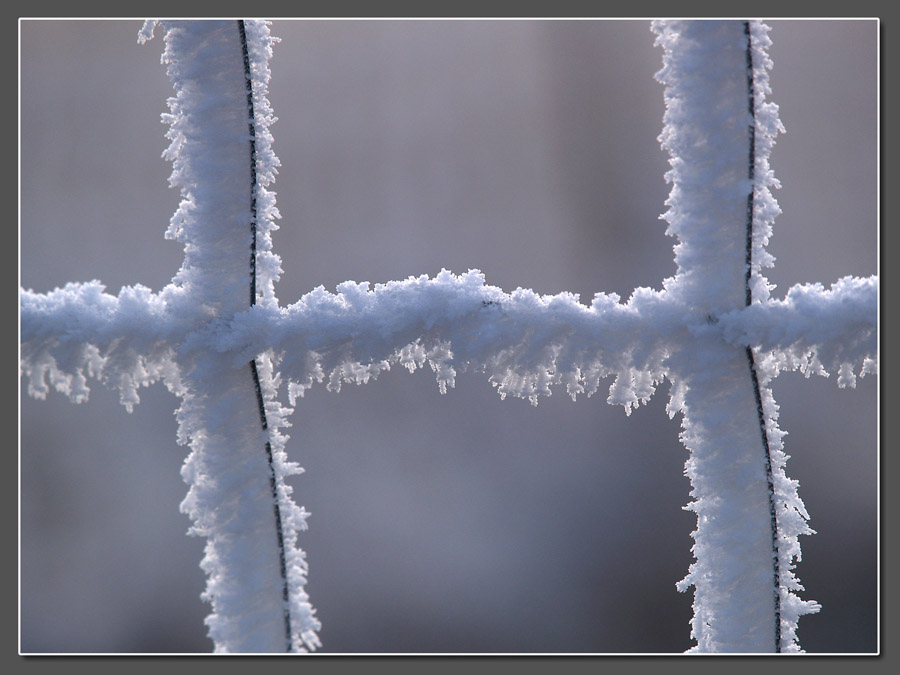 - eiszeit 2 -