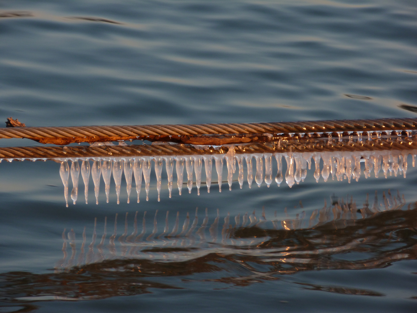 eiszeit 2012