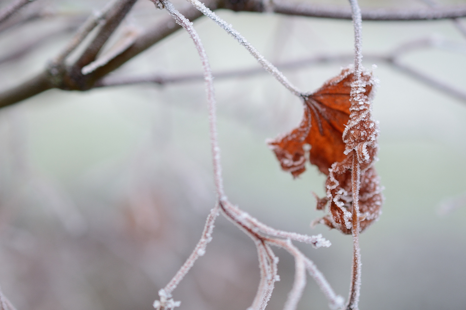 Eiszeit