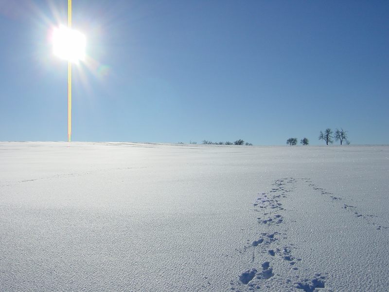 EisZeit