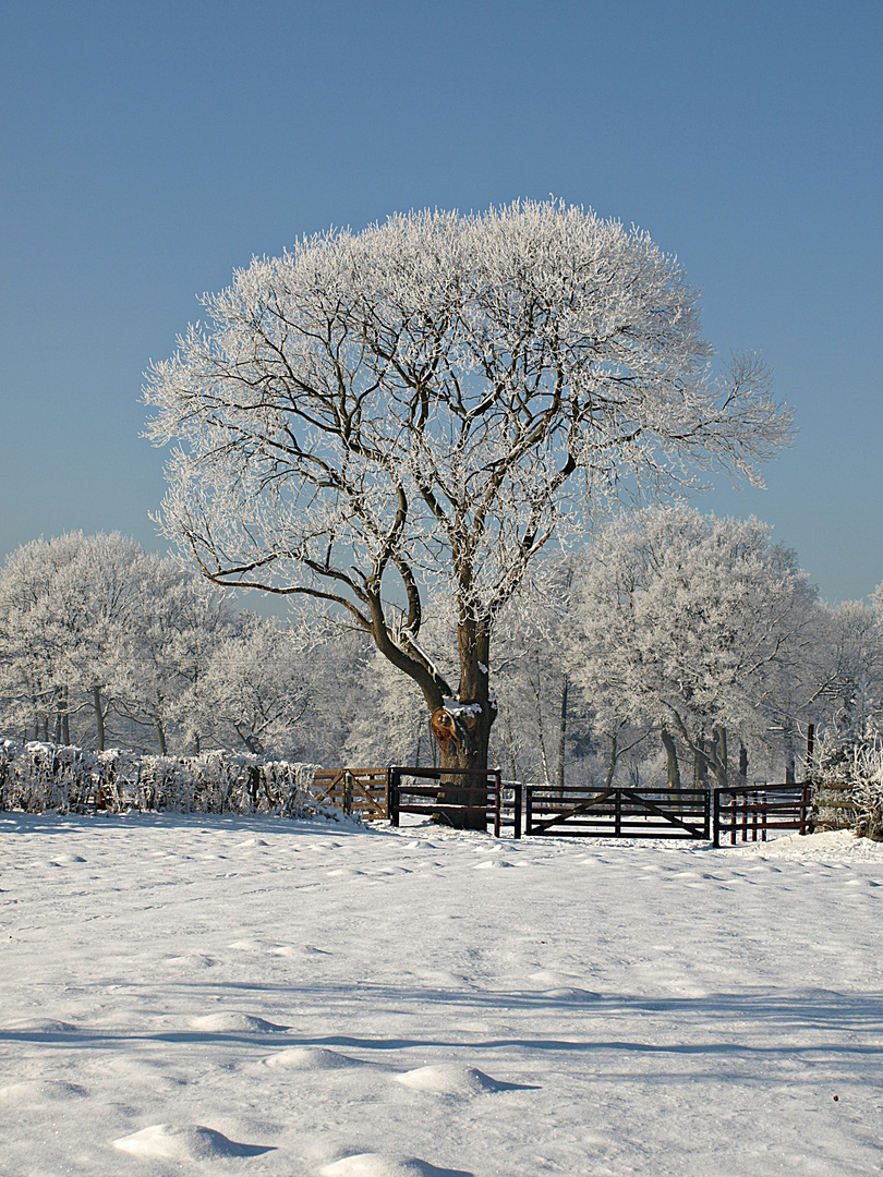 Eiszeit