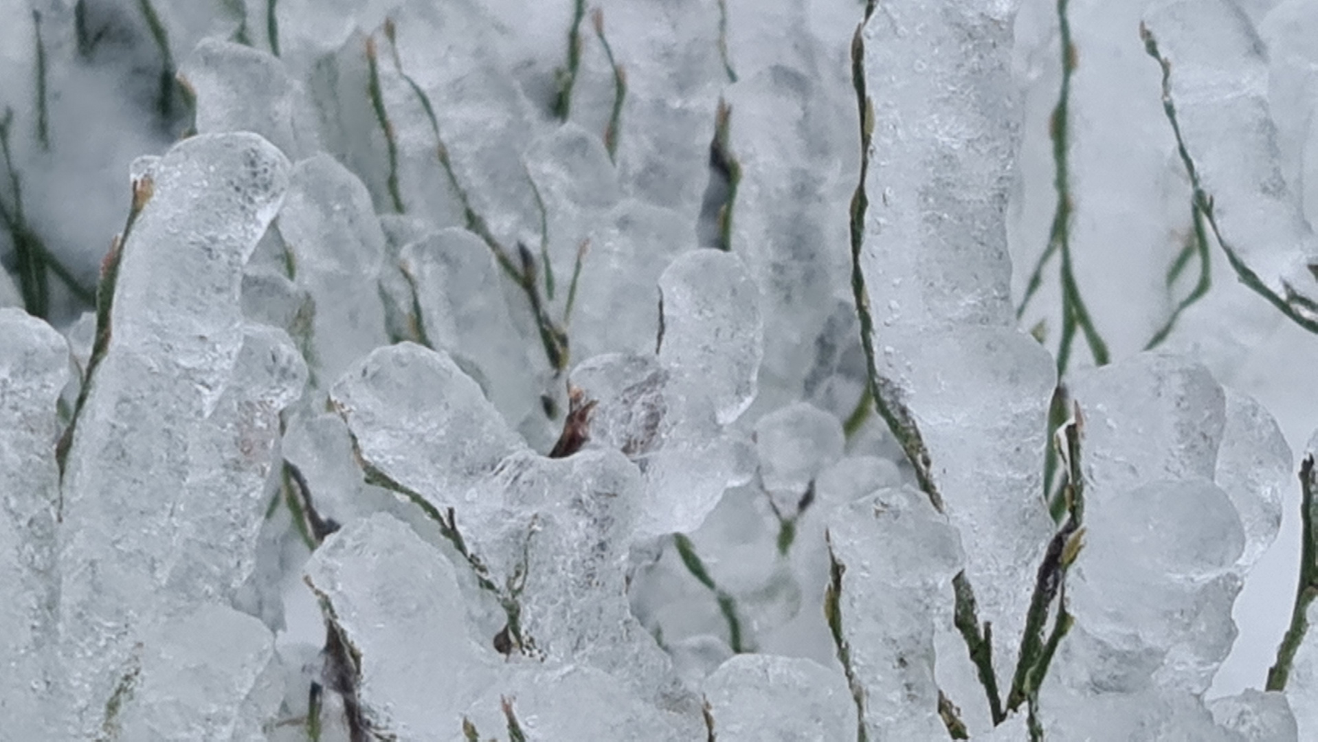 Eiszeit