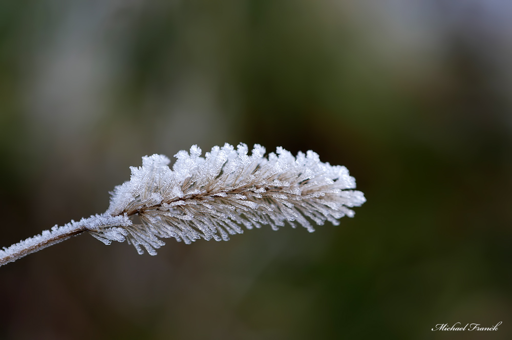 Eiszeit