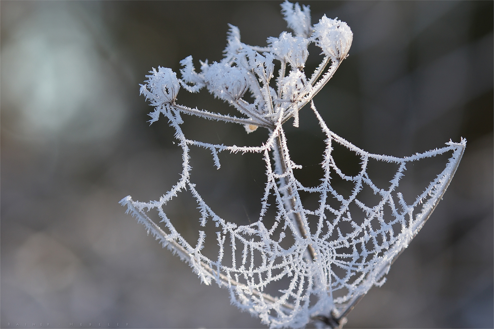 Eiszeit (3)