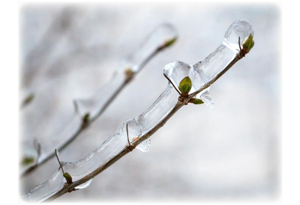 Eiszeit #3