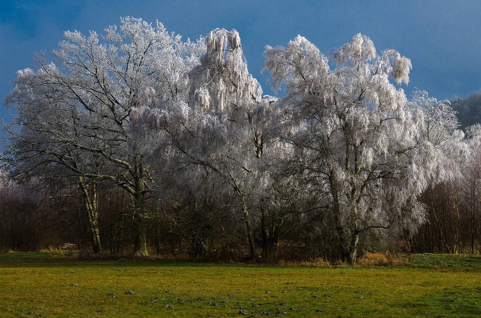 Eiszeit