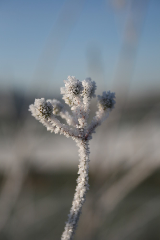 Eiszeit