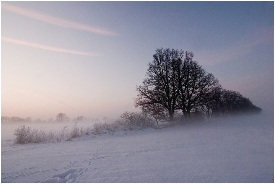 Eiszeit #4