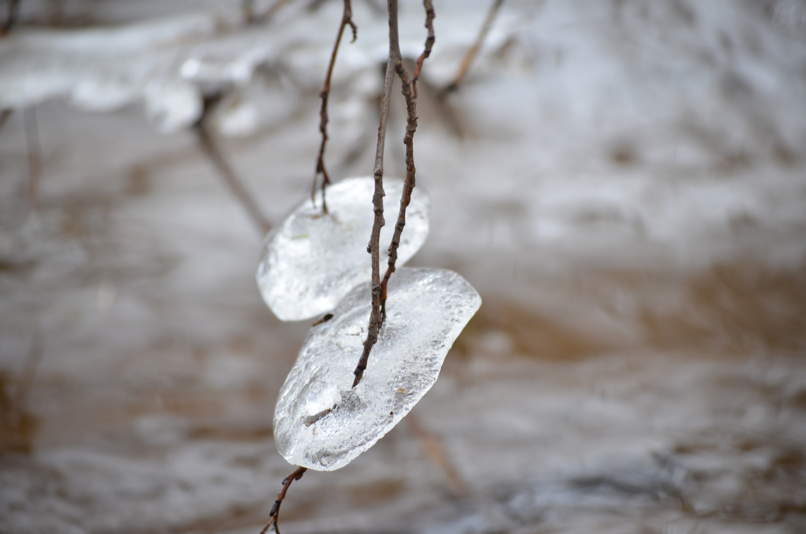 Eiszeit