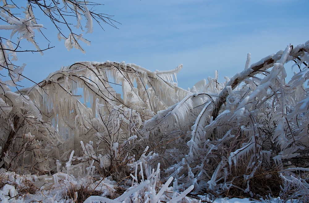 Eiszeit (5)