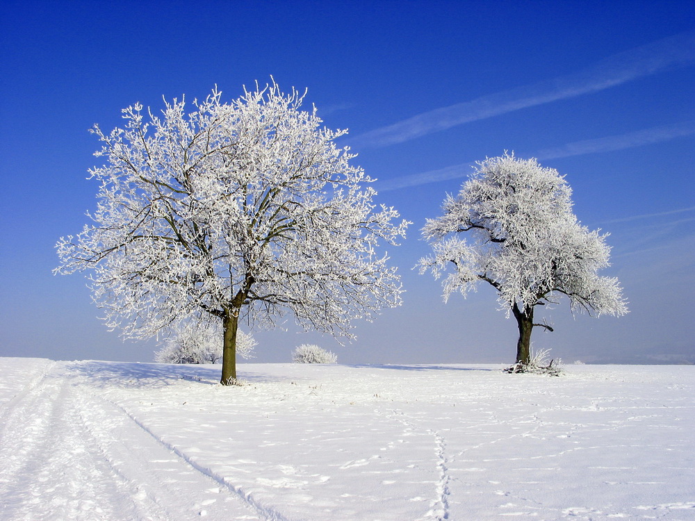 Eiszeit von Rudolf Schuler 