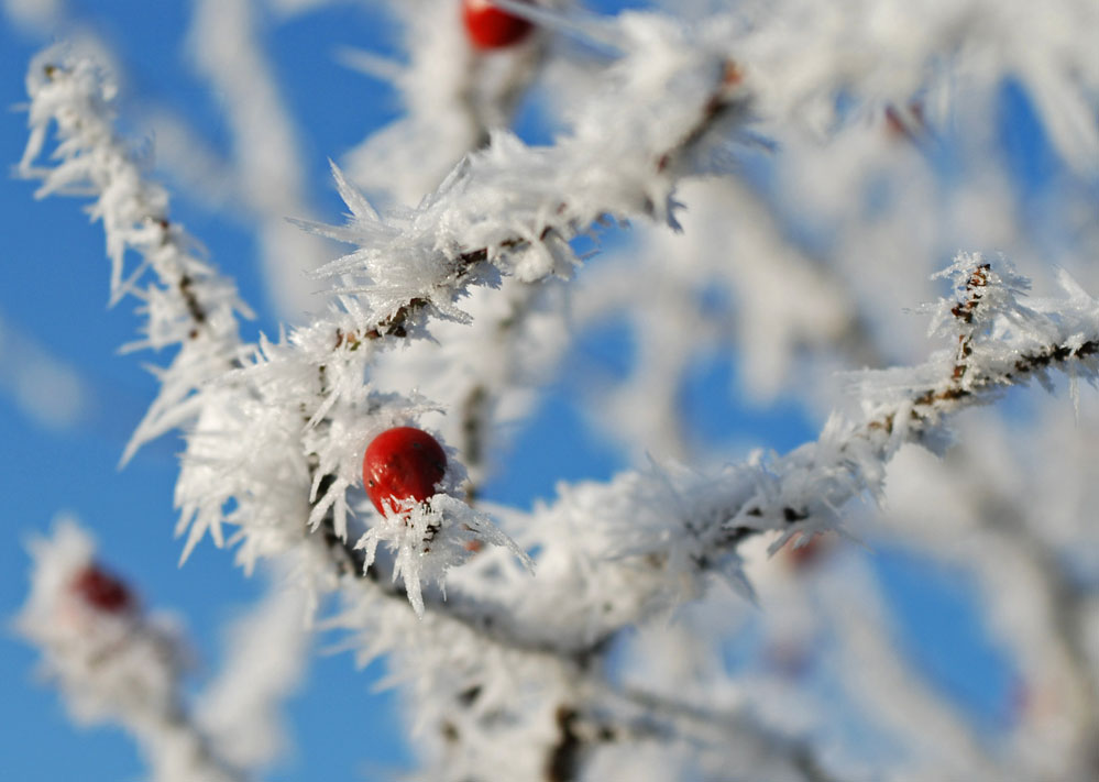 eiszeit