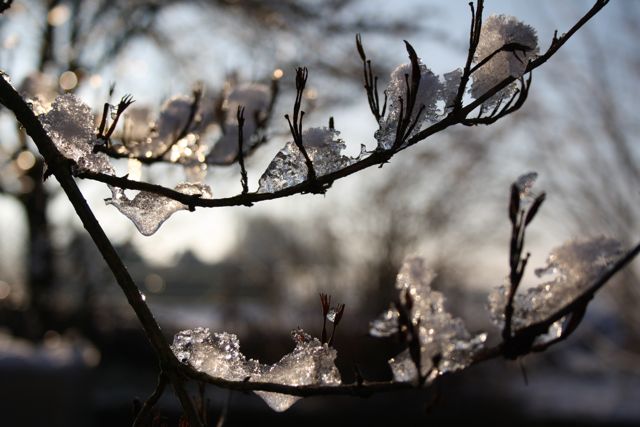 Eiszeit