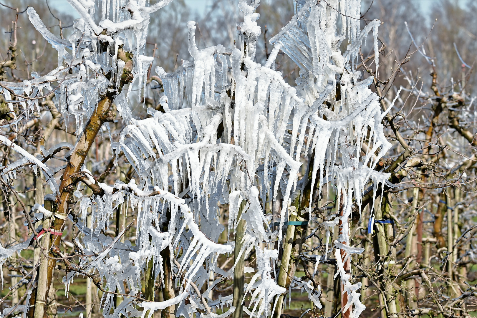 Eiszeit