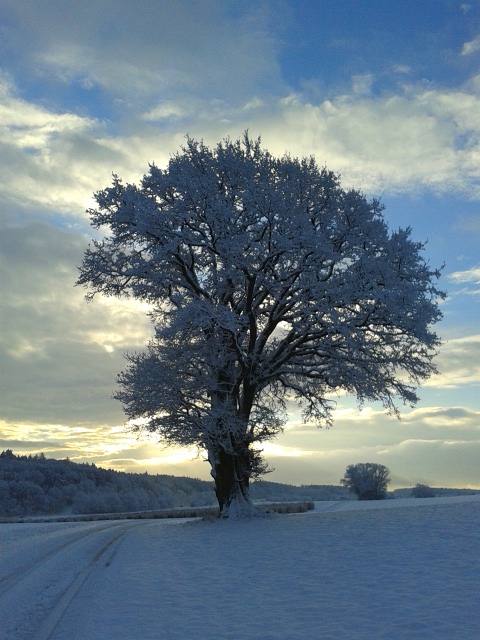 Eiszeit