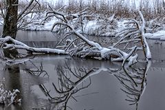 Eiszeit