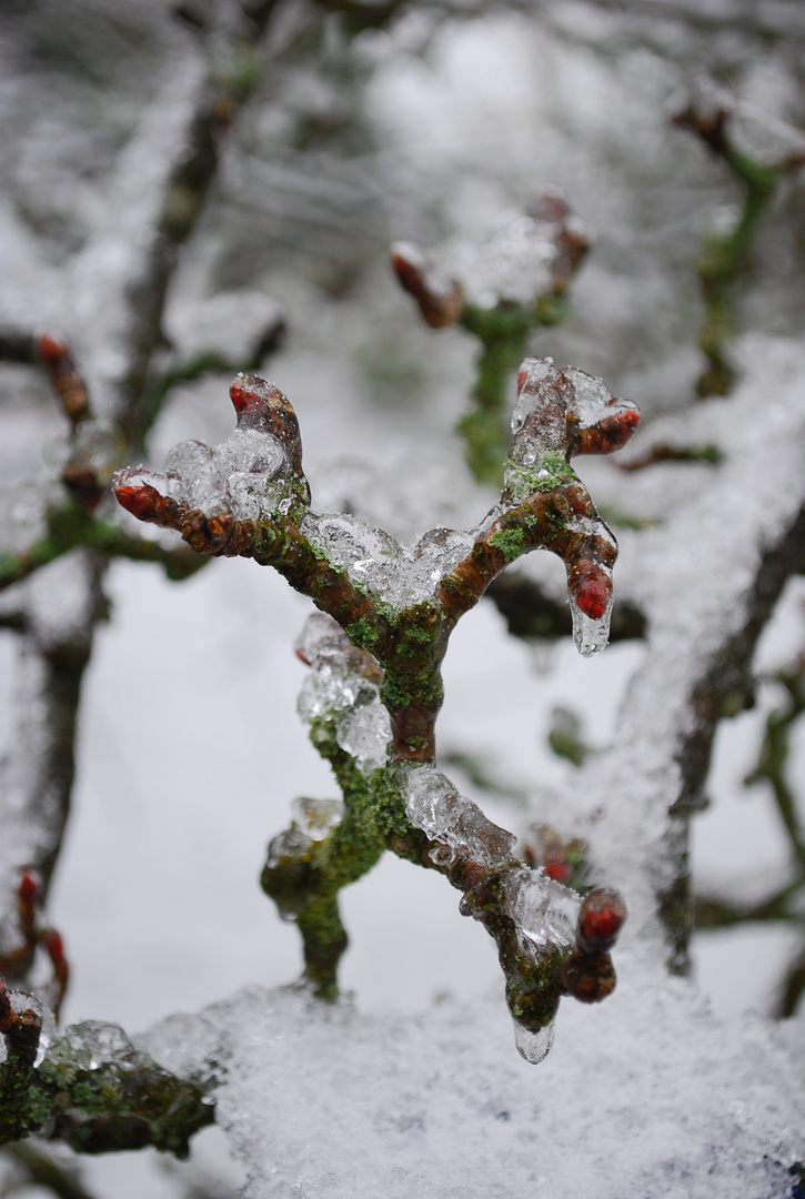 Eiszeit