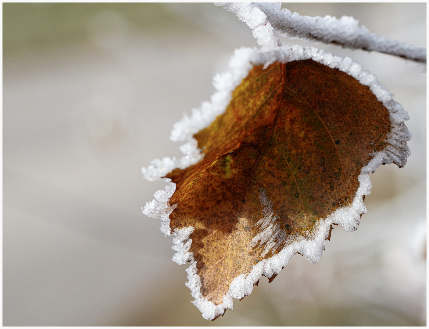 "Eiszeit"