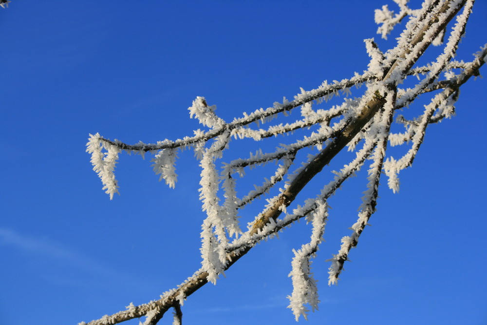 Eiszeit