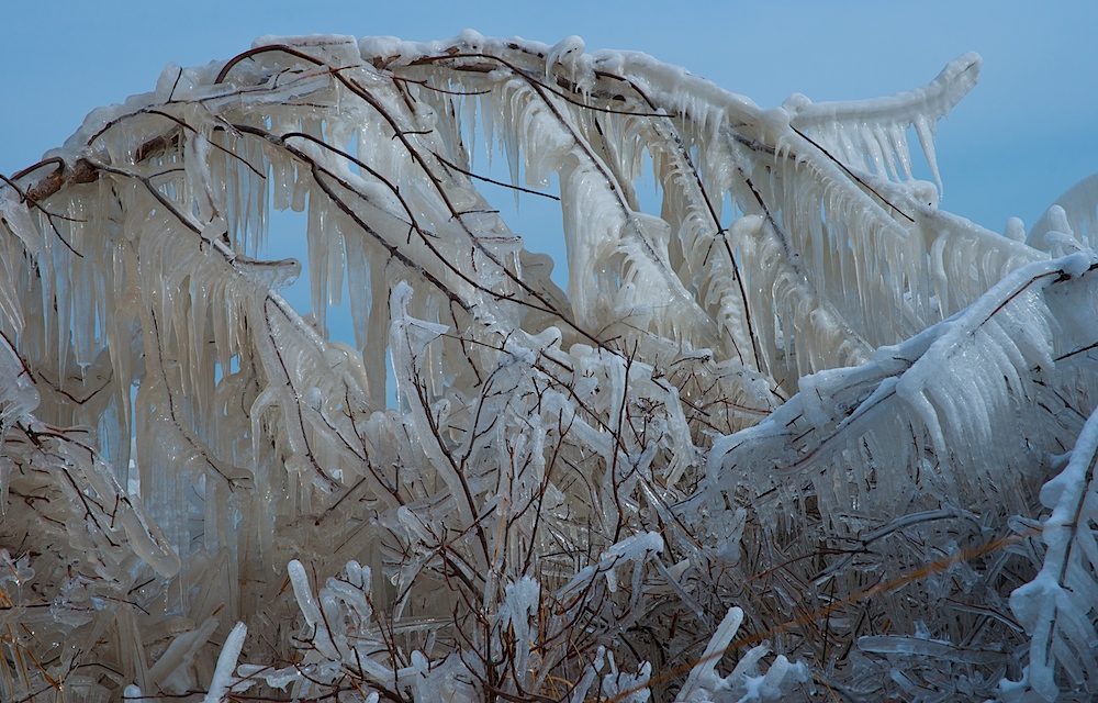 Eiszeit (6)