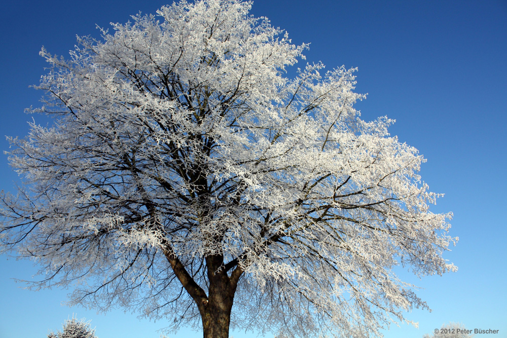 Eiszeit