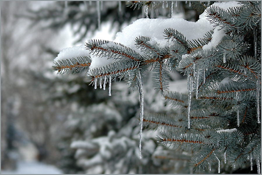 Eiszeit