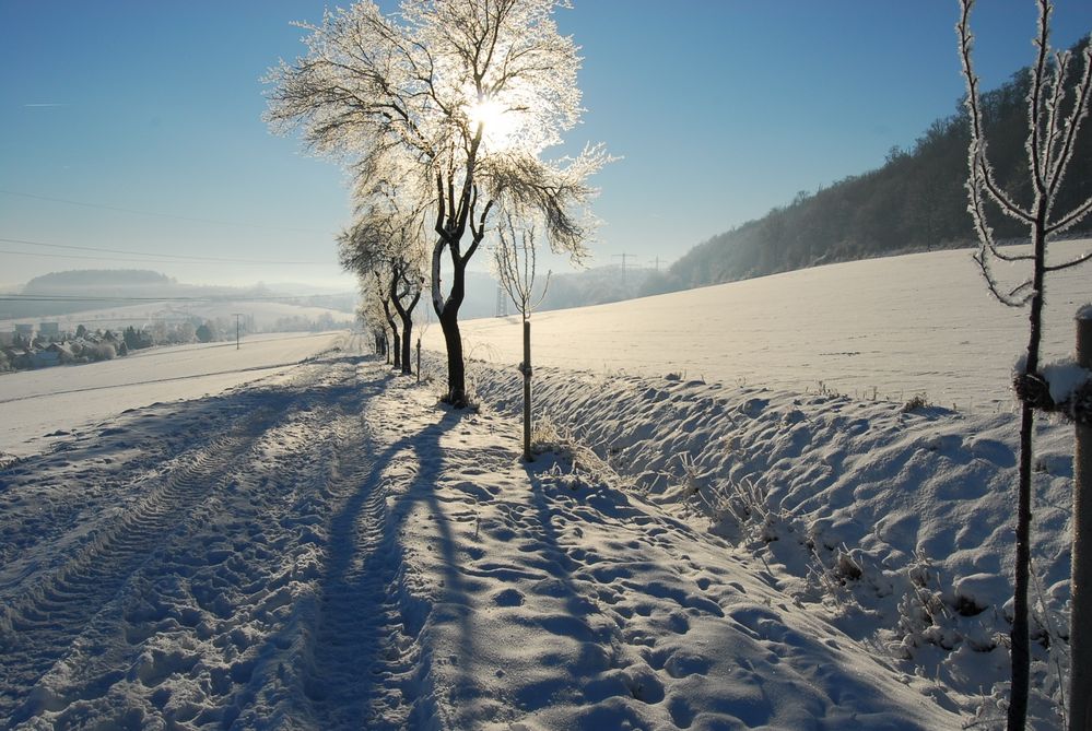 Eiszeit von Susi Sorglos~ 