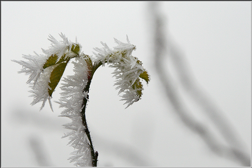 eiszeit