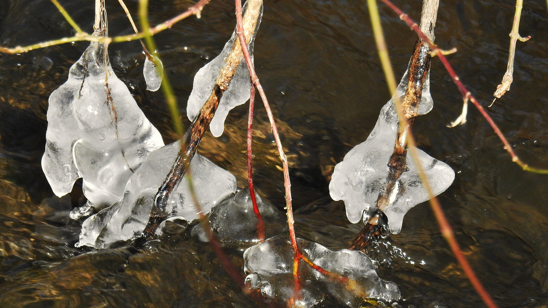 Eiszeit 