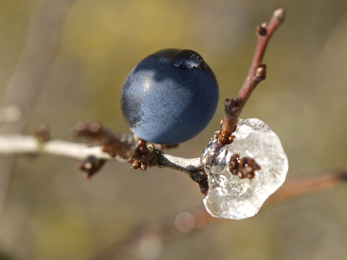 Eiszeit ......