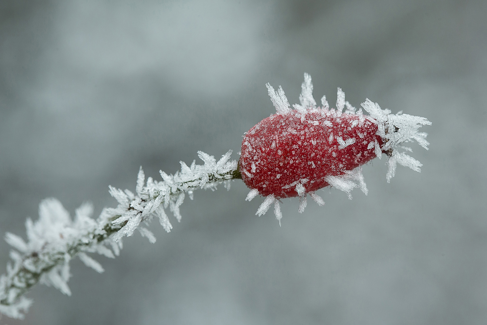 Eiszeit