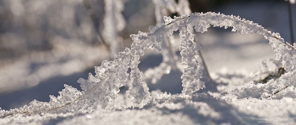 EISZEIT