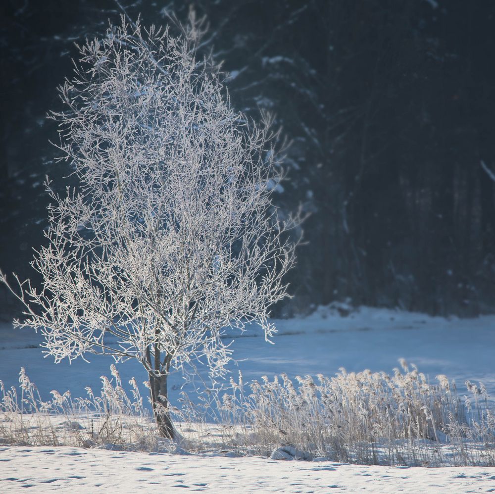 Eiszeit