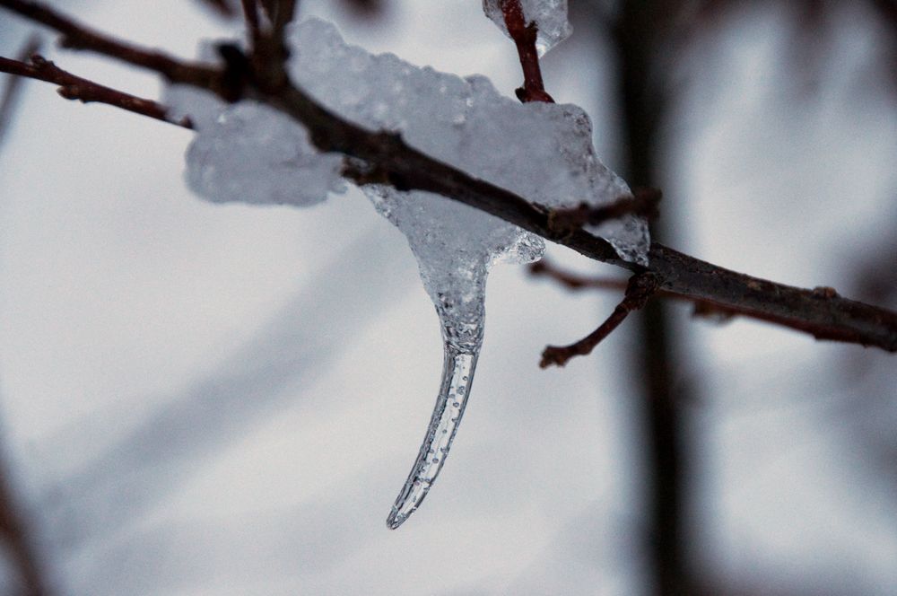 Eiszeit