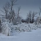 Eiszeit (8) - Die ganze Pracht