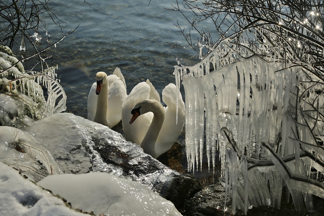 Eiszeit