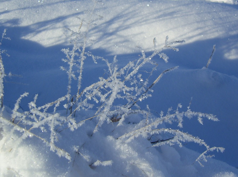 Eiszeit