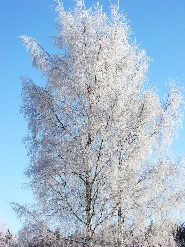 Eiszeit