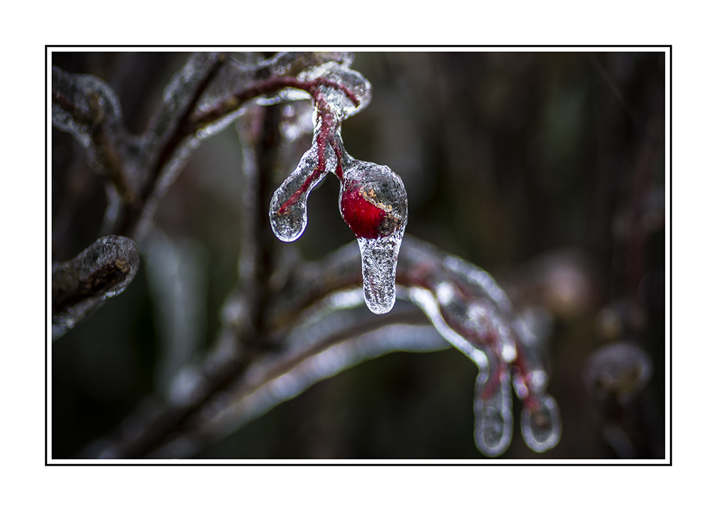 Eiszeit.....