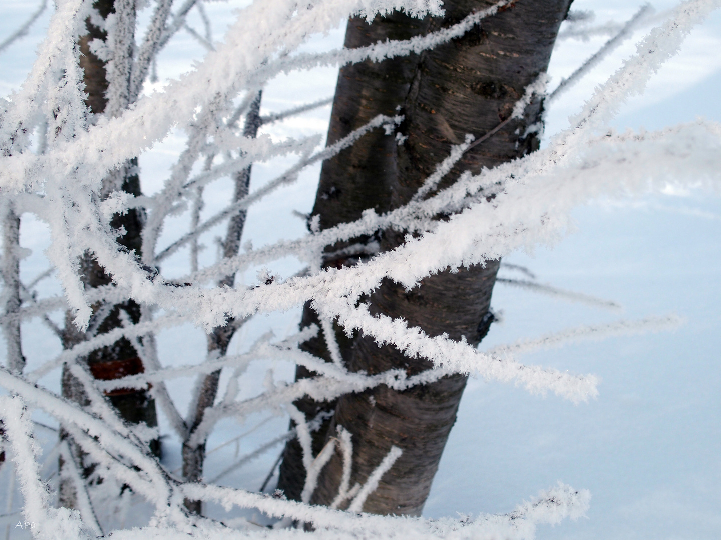 Eiszeit