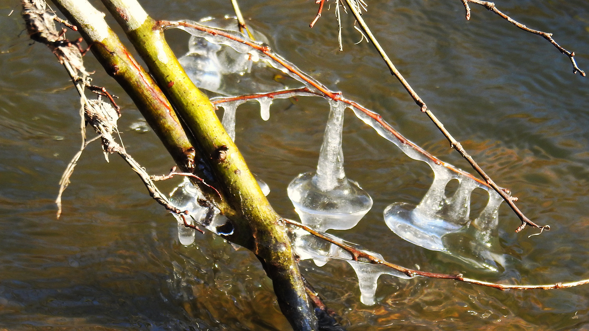 Eiszeit 