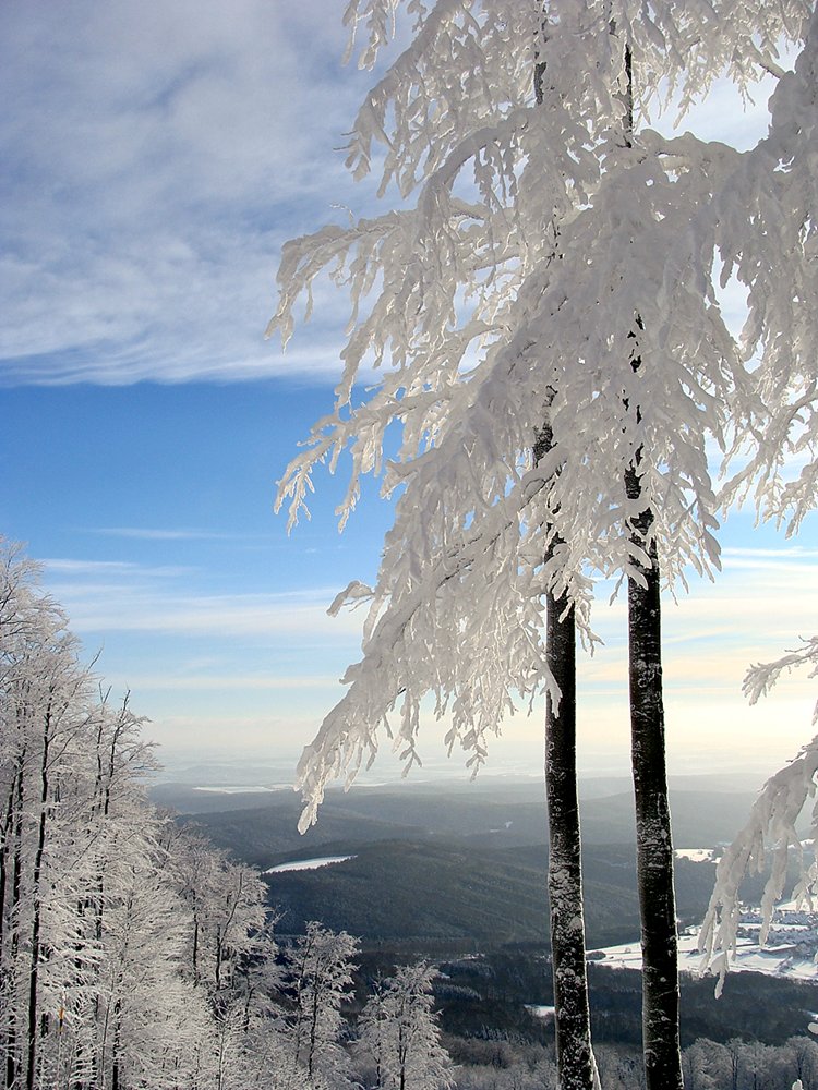 eiszeit